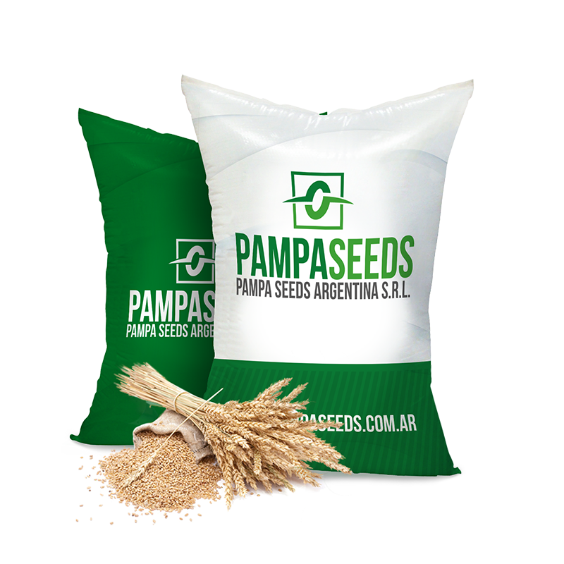 pampa-bolsa-verde-mix-trigoOK