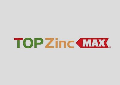 TOP ZINC MAX