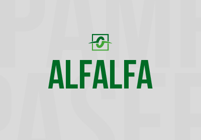 ALFALFA