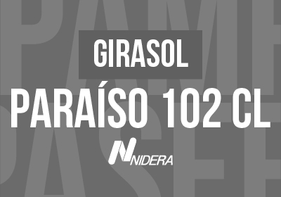 PARAÍSO 102 CL