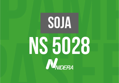 SOJA NS 5028 STS