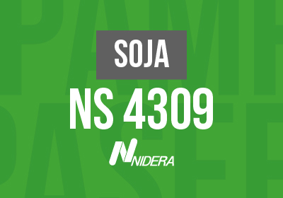 SOJA-NS-4309