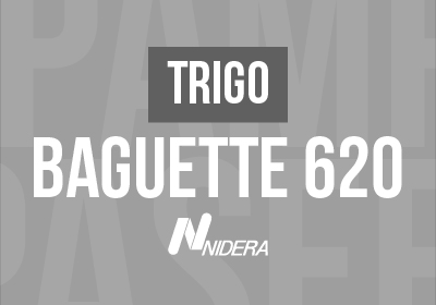 TRIGO BAGUETTE 620