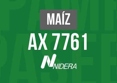 MAIZ-AX-7761-VT3p