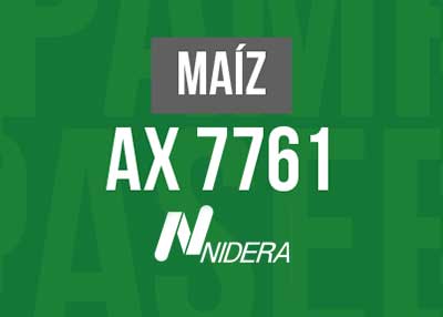 MAIZ-AX-7761-VT3p