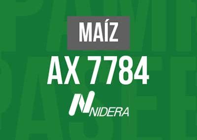 MAIZ AX 7784 VT3P