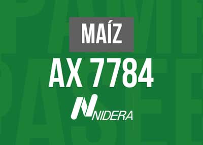 MAIZ AX 7784 VT3P
