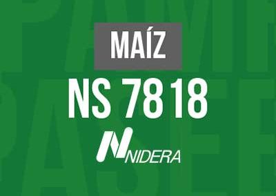 MAIZ NS 7818 VIP3
