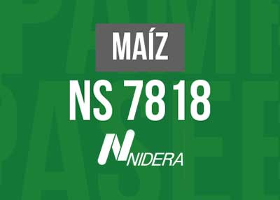 MAIZ NS 7818 VIP3